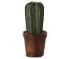 Flower pot with cactus, Miniature