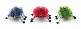 Hexbug Beetle