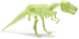 Glow Stars - Glow-in-the-Dark T.rex Skeleton