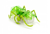 Hexbug Micro Ant