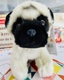 Wilberry Mini Pug