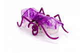 Hexbug Micro Ant