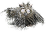 Wilberry owl